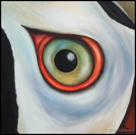 Augenblick eines Papageientauchers Acryl auf Leinwand;
30 x 30 cm